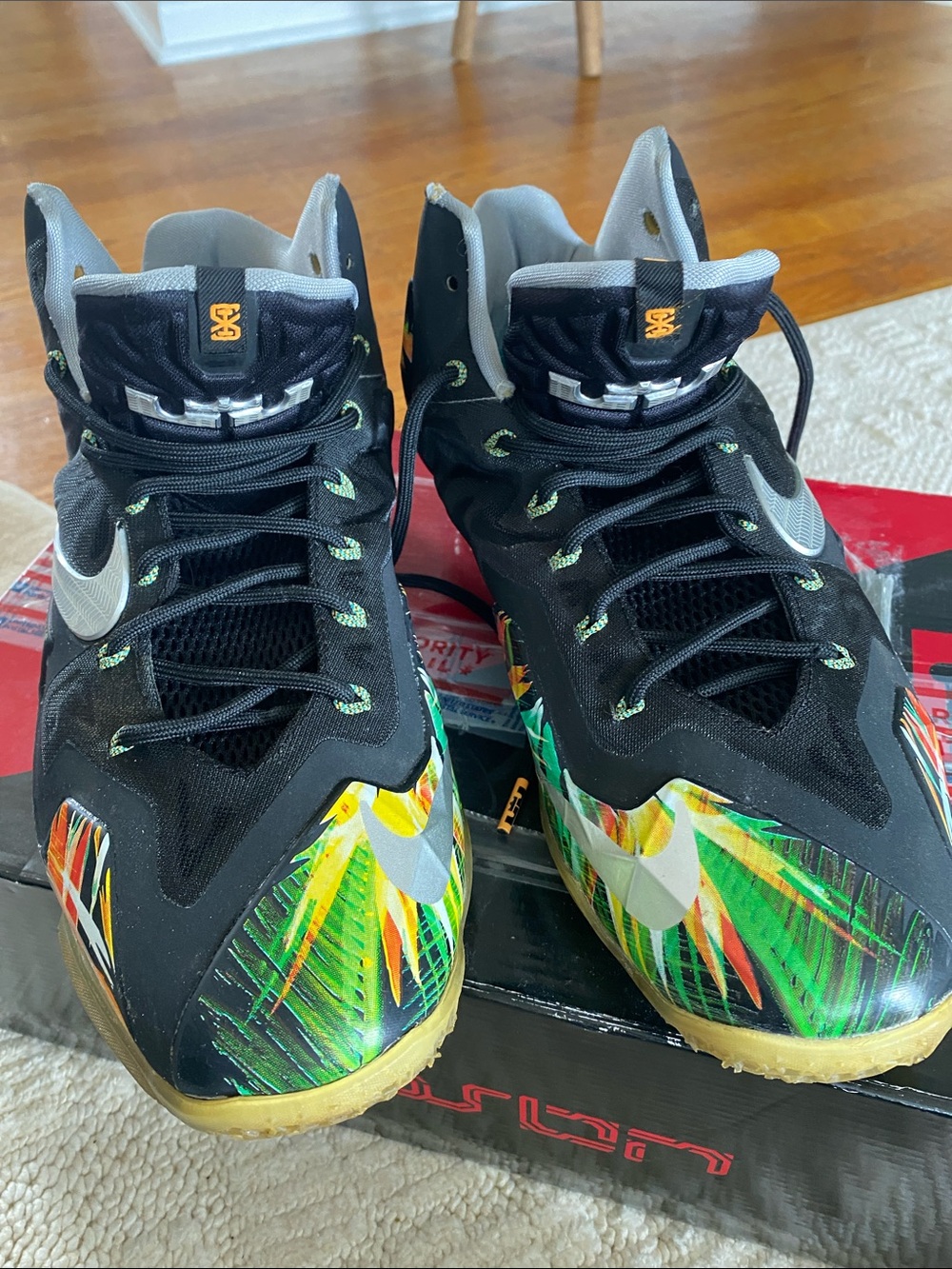 Nike LeBron Black Multicolor sneakers . Men’s 10.5 w box